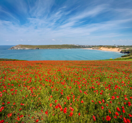 6 Secret Beach Holidays In Cornwall