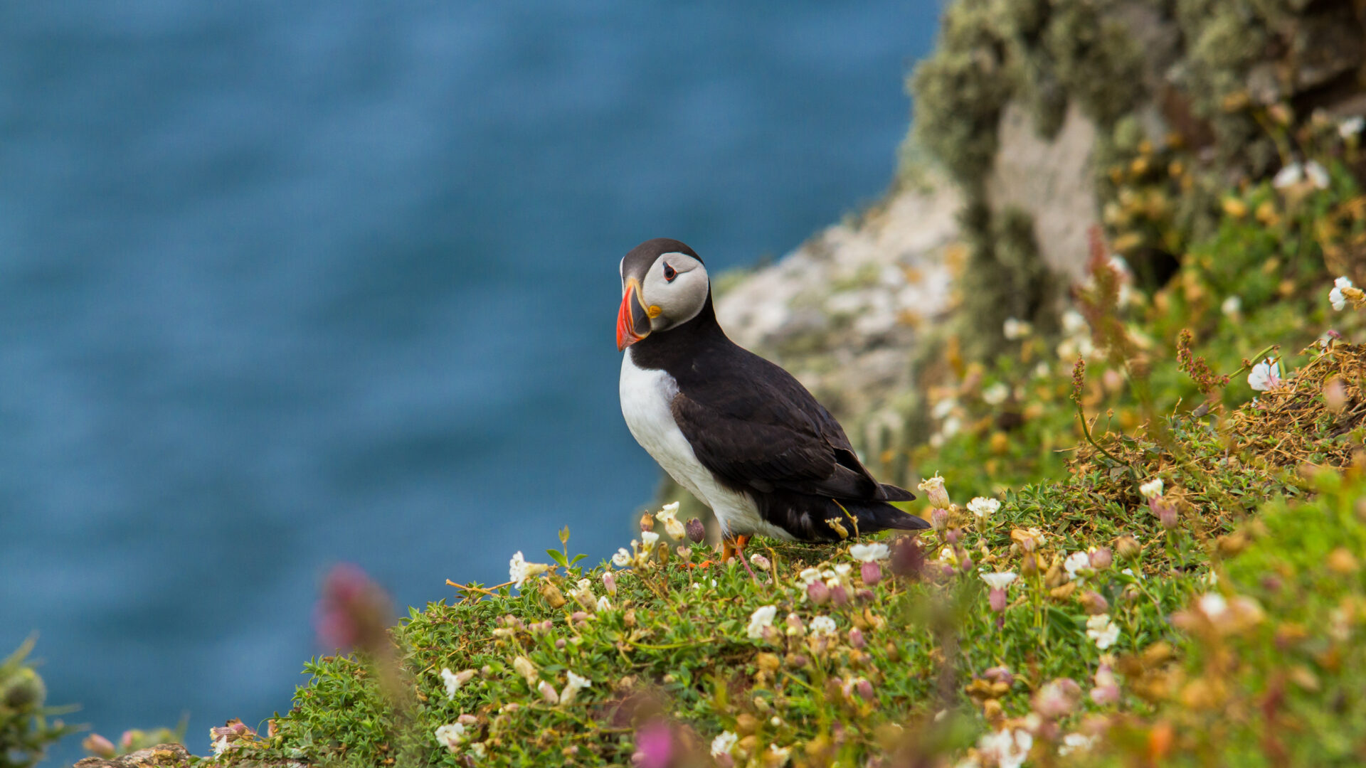 Holidays In Wales – Holiday Parks, Caravans, Glamping and Camping